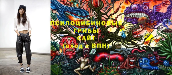 МДМА Белокуриха