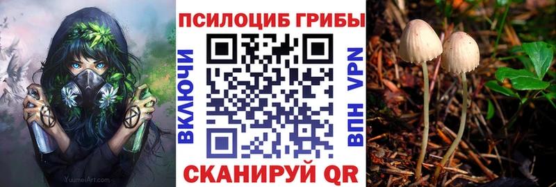 Псилоцибиновые грибы GOLDEN TEACHER  Плёс 