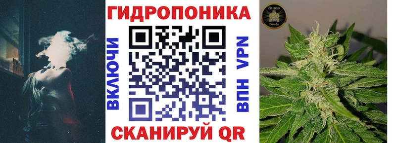 blacksprut tor  купить наркотик  Плёс  Каннабис тримм 
